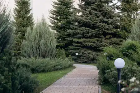 Для Вас - 11