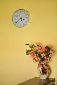 Радужная - 12