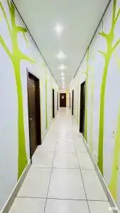 Свет - 5