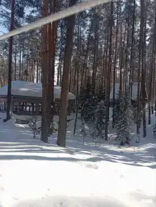 Заимка Ё-моЁ - 104