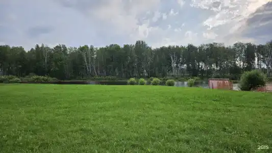 Ермак - 40