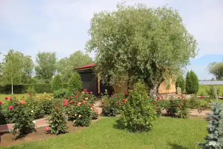 Зюйд-вест - 7