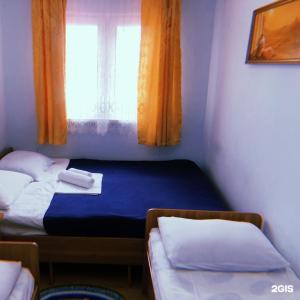 Киви и Цитрус - 80