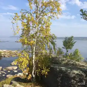 Заимка Рыбная - 28