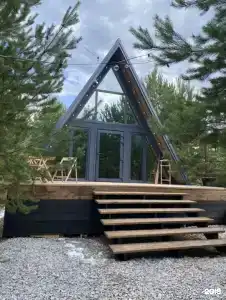 Лес - 6