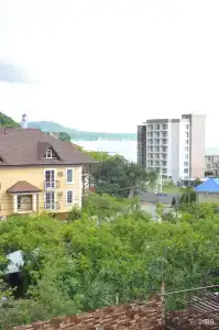 Купавна - 22