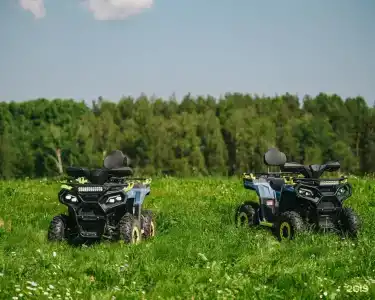Бережок - 85