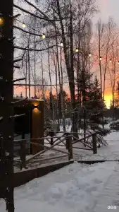 Снежные гуси - 27