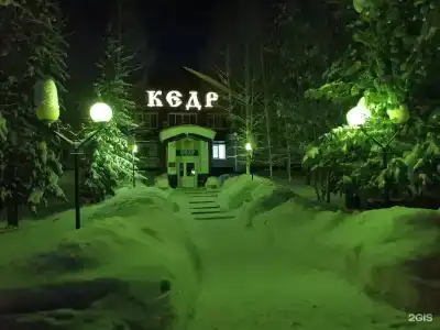 Кедр - 26