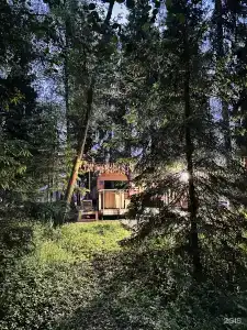 Лесная тропа - 36