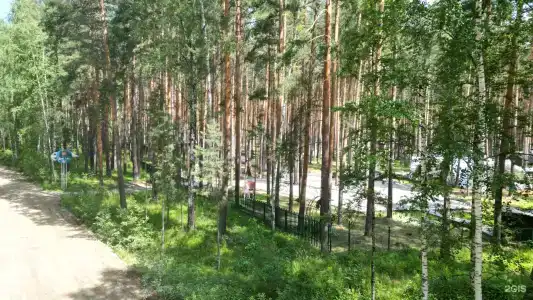 ДухЛес - 28