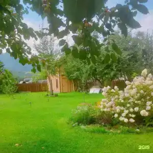 Яблоневый сад - 21