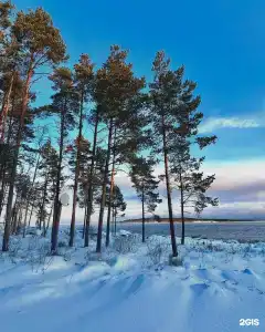 Ладога озеро - 21