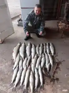 Каспийские раскаты - 146