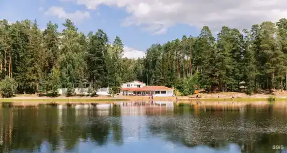 Царский лес - 31