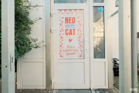 Red Cat - 34
