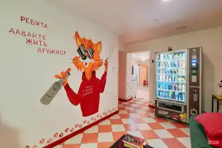 Red Cat - 33