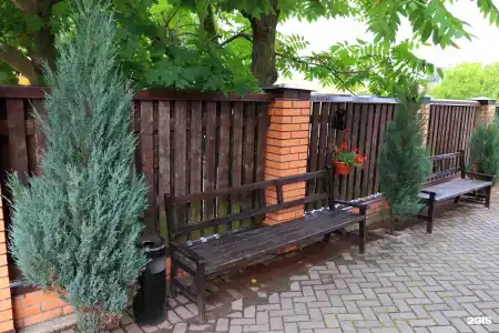 Три кота - 21