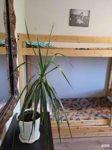 Хостел Main room - 52