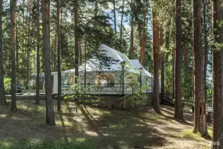 Салют - 85