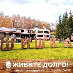 Шишка - 52