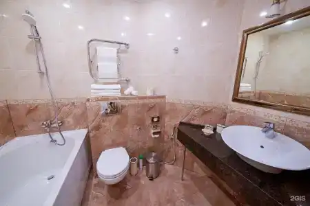 Реверанс - 24