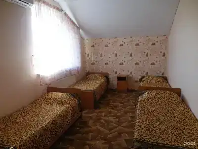 Диана - 8