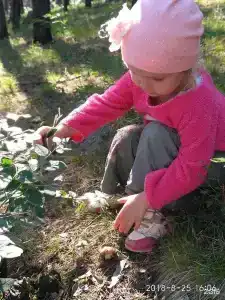 Станица - 36