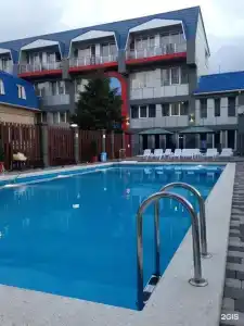 Тополь - 21