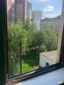 Вежливый Лось на Бунинской аллее - 15