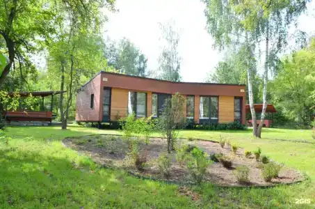 Серебряный век - 50