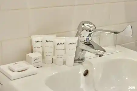 Radisson & Congress Center Saransk - 82