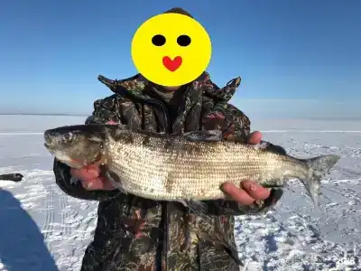 Шлем - 96