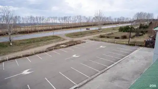 Зеленый - 47