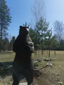 Сахалин - 36