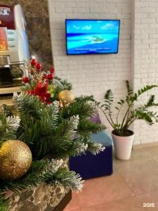 Фламинго - 11