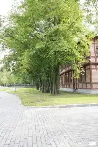 на Малой Невке - 16