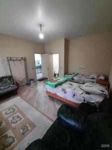 Апушкино - 4