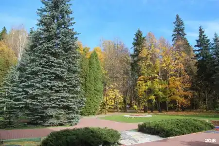 Голицыно - 45