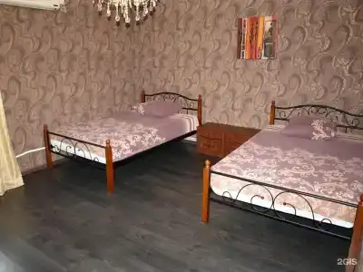 Зебра - 43