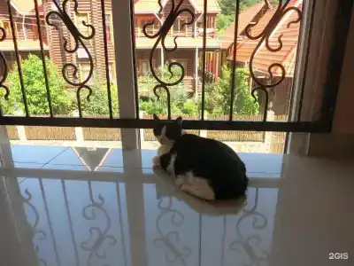 Добрый кит - 51