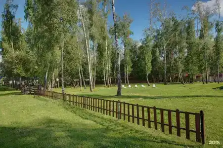 Загородный клуб Айвенго Джунгли - 26