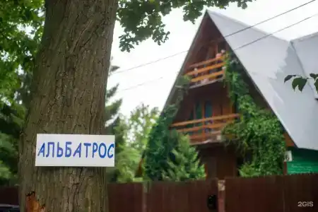 Альбатрос - 61
