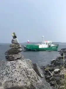 Кедр Грасс Белое Море - 125