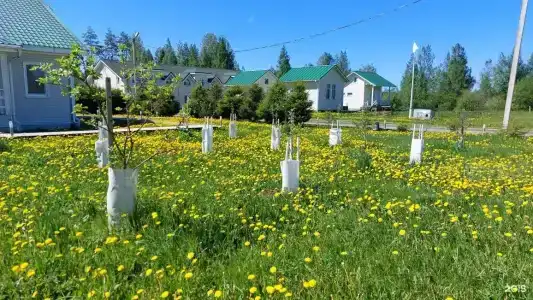 Старая Слобода - 29