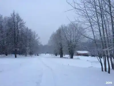 Дубки - 147