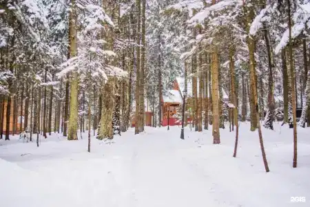Истра Холидей - 105