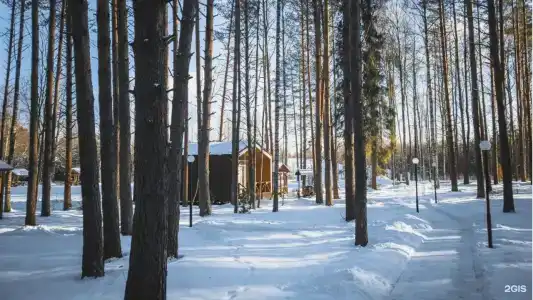 База отдыха Sherwood Park - 40