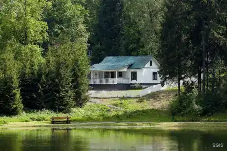 Царский лес - 22