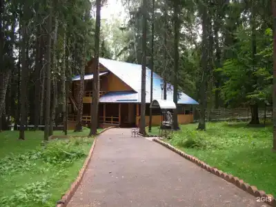 Царский лес - 40